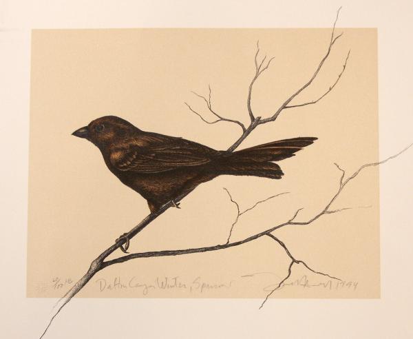 Frank-Howell,-Dalton-Canon-Winter-Sparrow,-lithograph