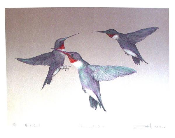 Frank-Howell,-three-hummingbirds-